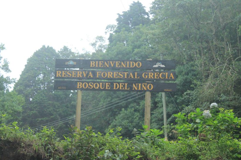 Reserva Forestal Grecia