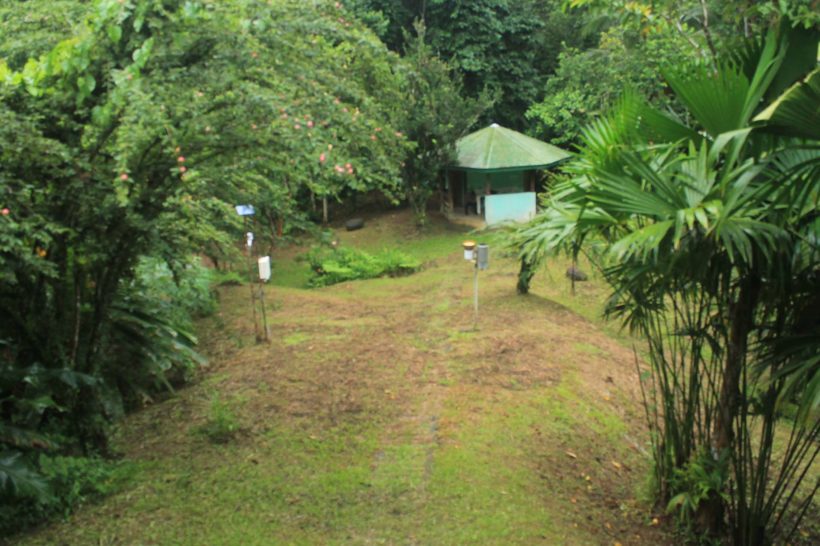 Reserva Biológica Hitoy Cerere