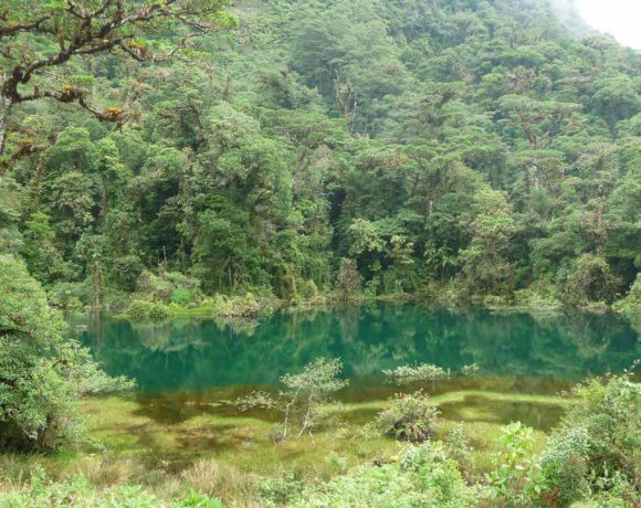 Parque Nacional del Agua Juan Castro Blanco