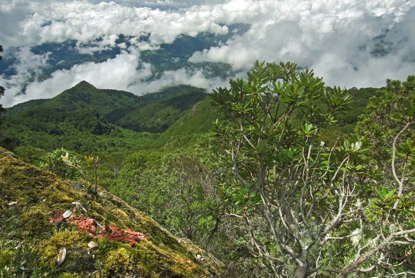 Parque Nacional Tapantí Macizo de la Muerte