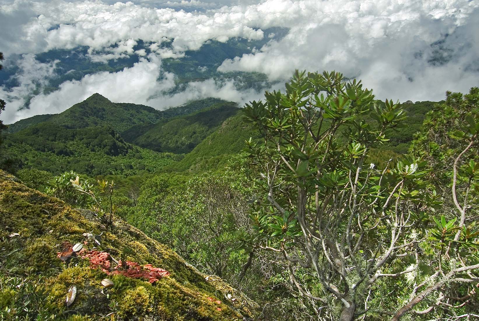 Parque Nacional Tapantí Macizo de la Muerte
